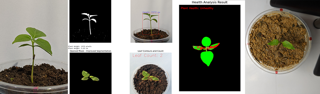 Plant Growth Monitor: Project overview